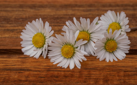 941928 (a): :2560x1600
